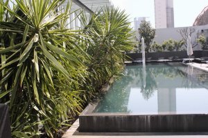 ideas-elementos-agua-47