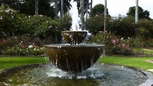 ideas-elementos-agua-59