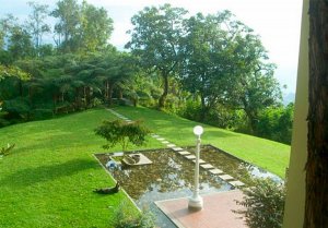 ideas-jardines-10
