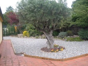 ideas-jardines-19