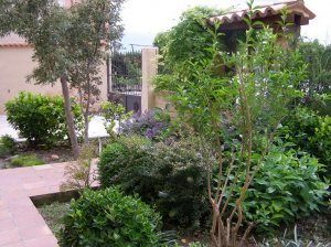 ideas-jardines-34