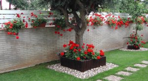 ideas-jardines-35