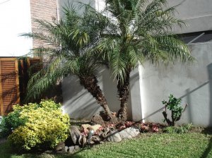 ideas-jardines-37