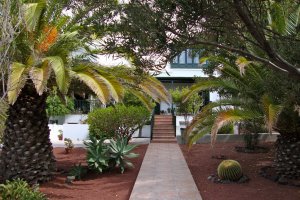 ideas-jardines-54