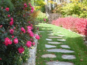ideas-jardines-55